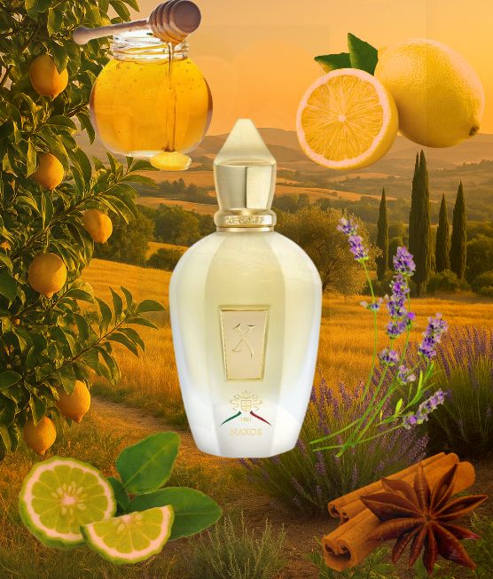 Xerjoff Naxos Eau de Parfum 100 ml Jaune